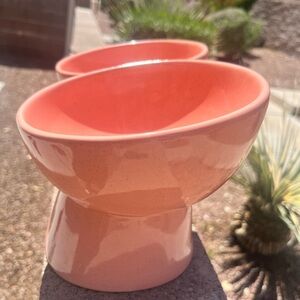 Magenta Home Pink Elevated Pet Bowls (Set of 2) – Cat/Small Dog